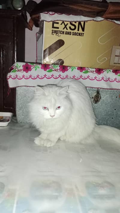 Hafizbad