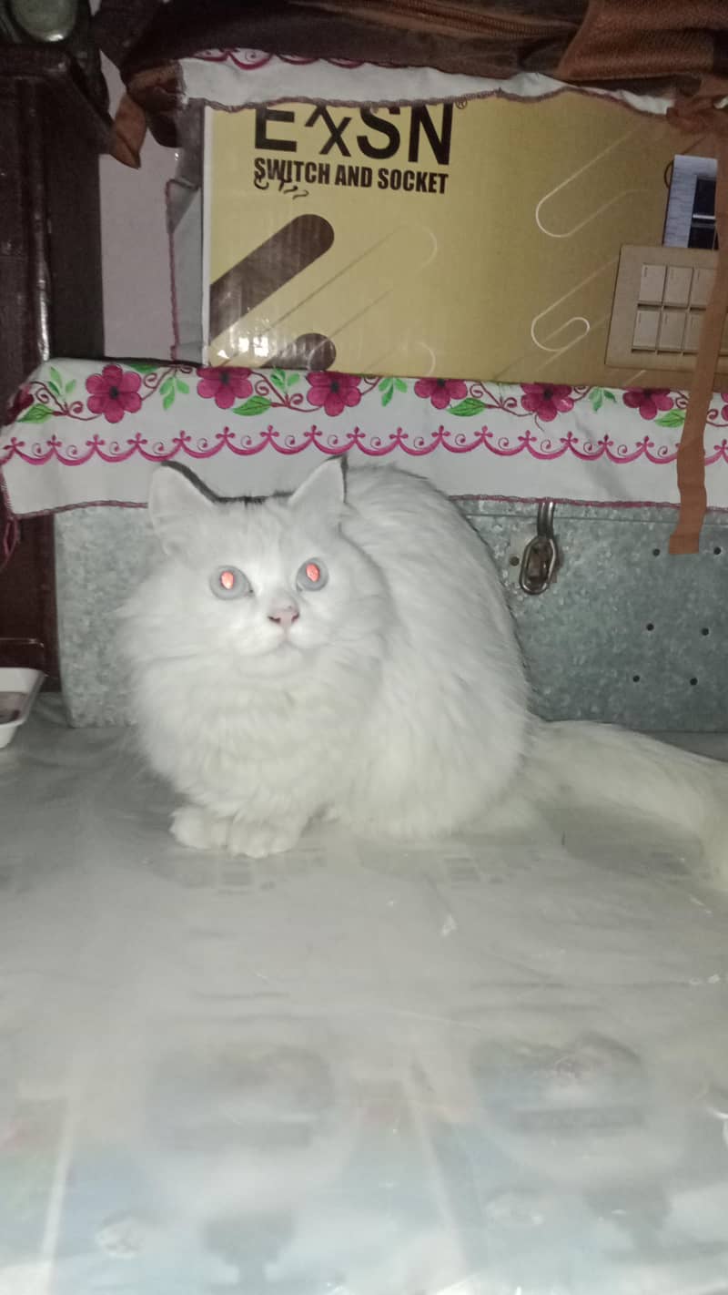 Hafizbad 1