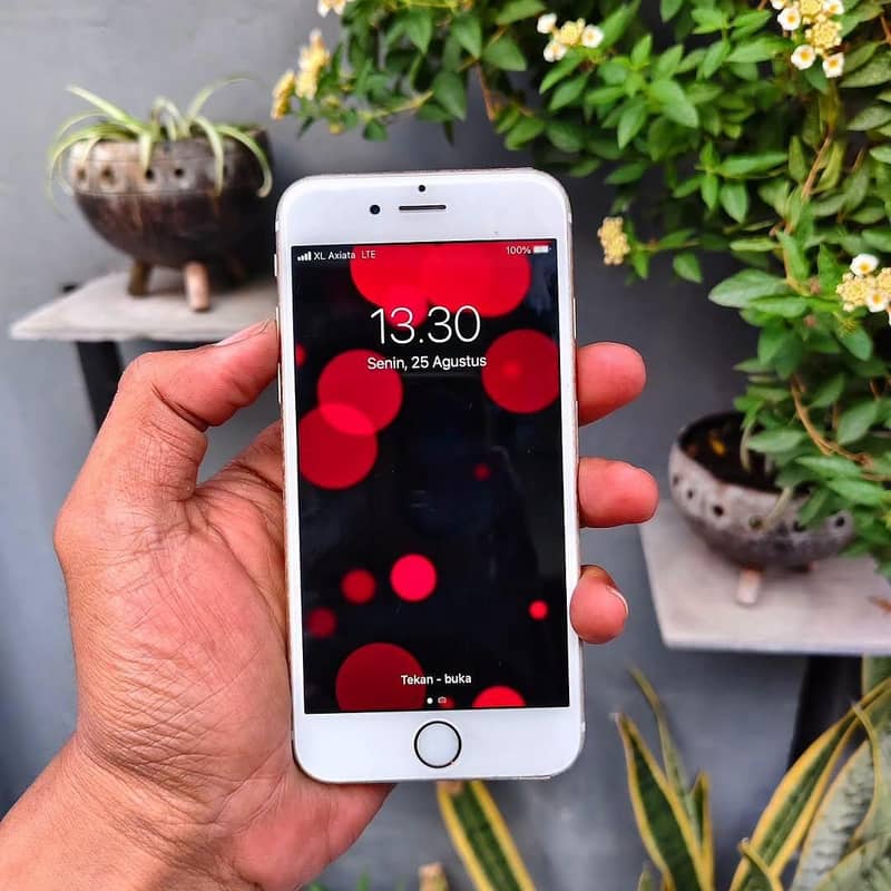 Apple iPhone 6S Plus 4