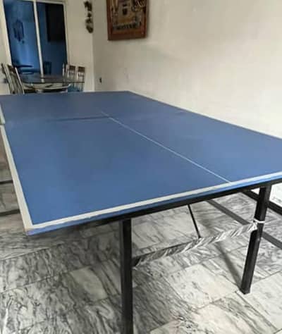 Table Tennis Table with Auto Foldable Net