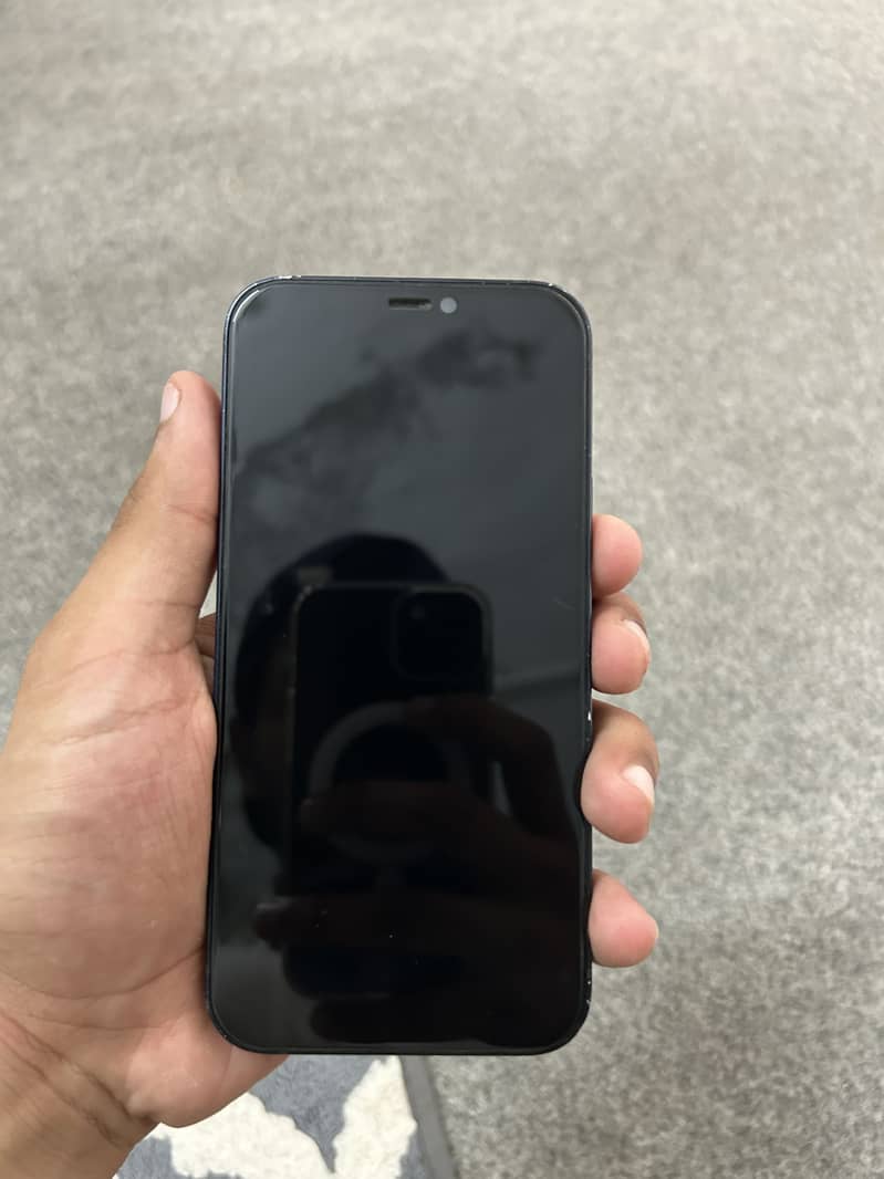 Apple iPhone 12 1