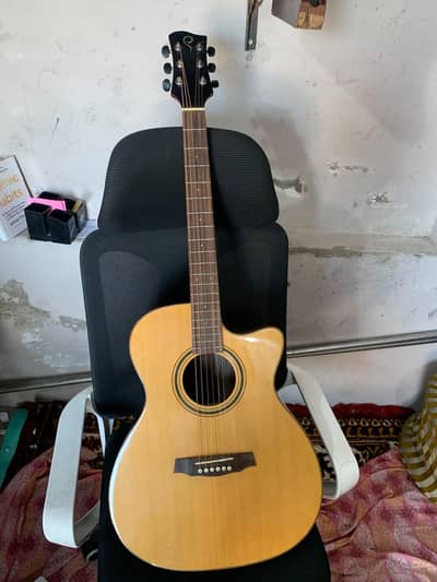 Acoustic Guitar Unused