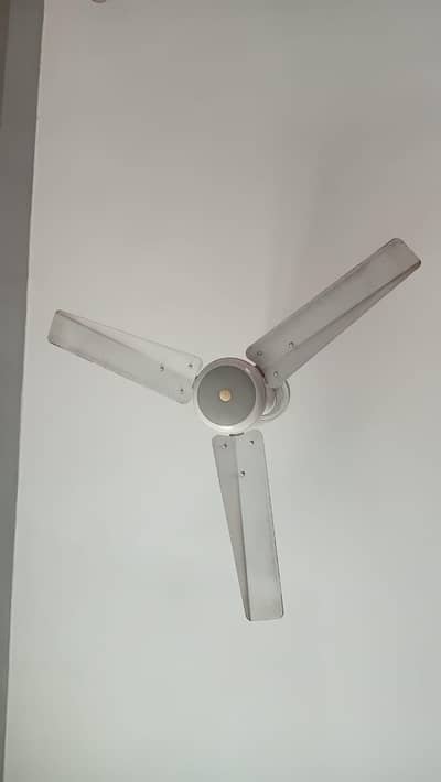 Ceiling Fan