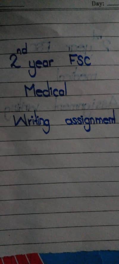 writing assignment