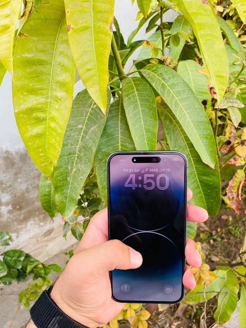 Iphone 14 pro max 6