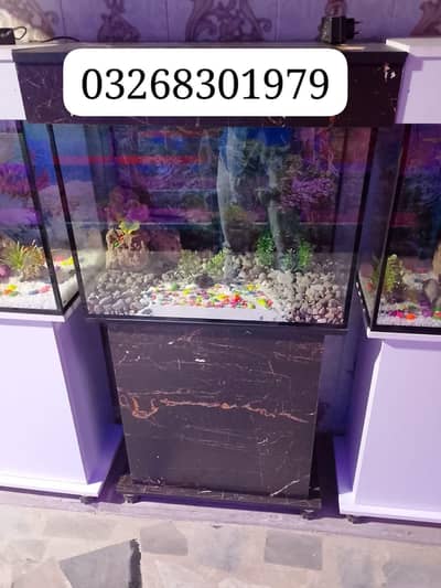 fish and fish aquarium Munseeb price