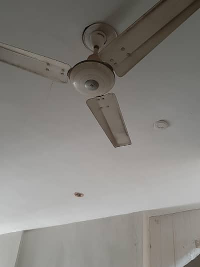 Royal ceiling fans for sell new he hai