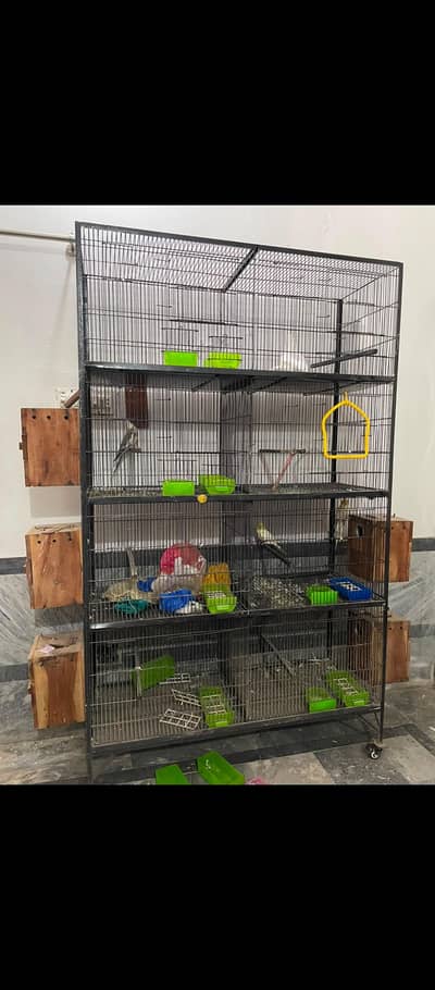 parrot cage