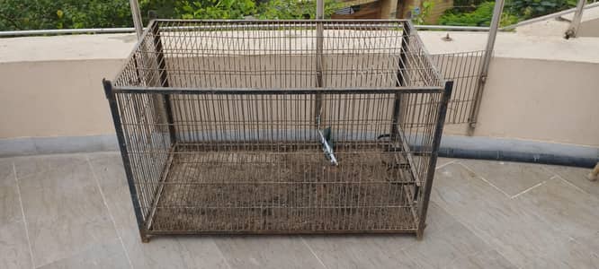 Big cage for hens