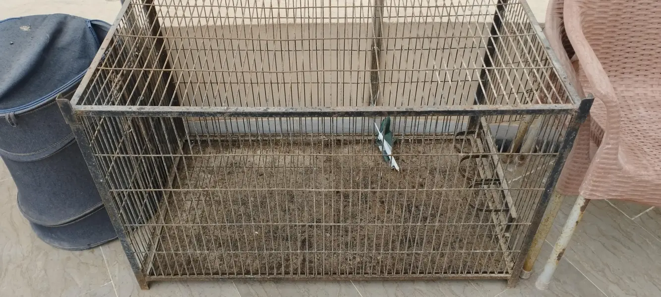Big cage for hens — photo 3