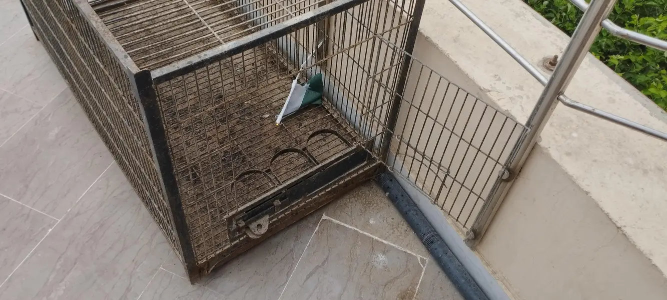 Big cage for hens — photo 5