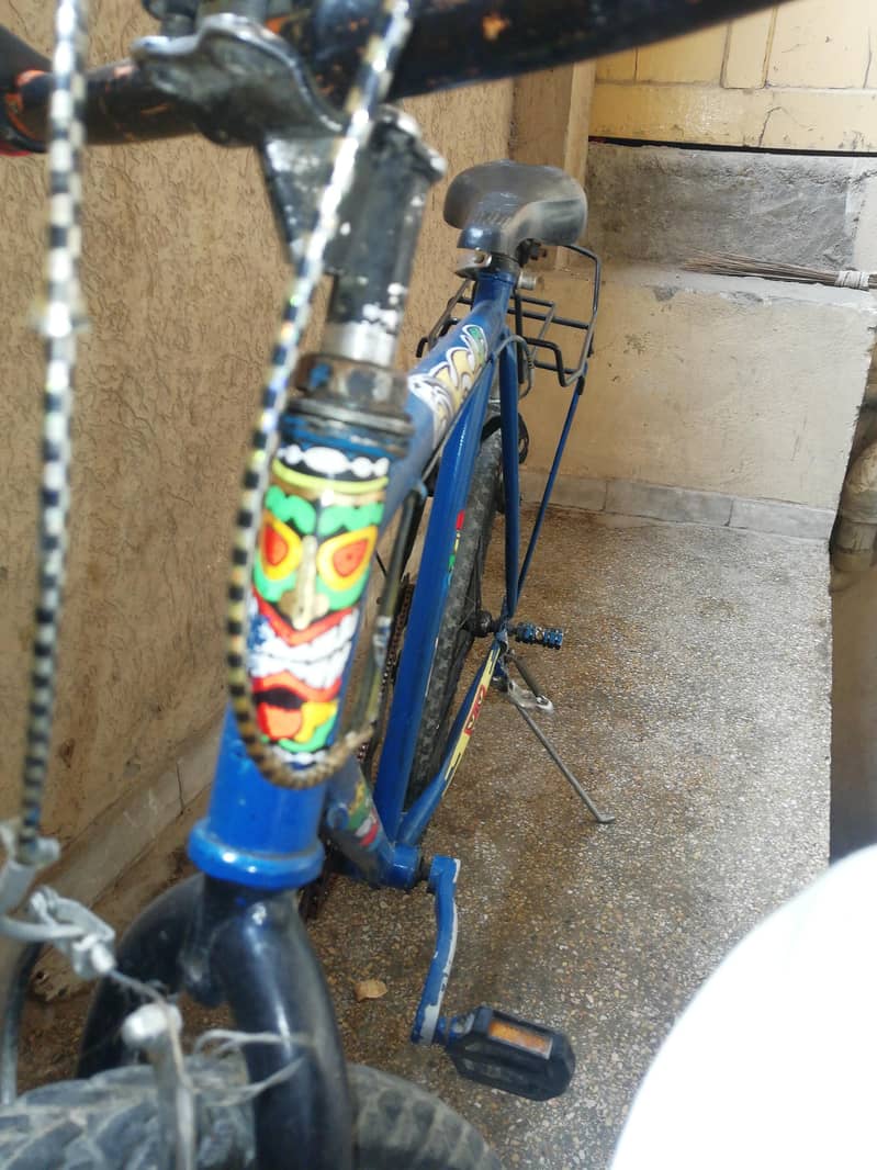 phonix cycle 1