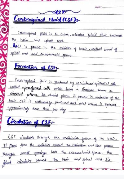 Assignment Writing