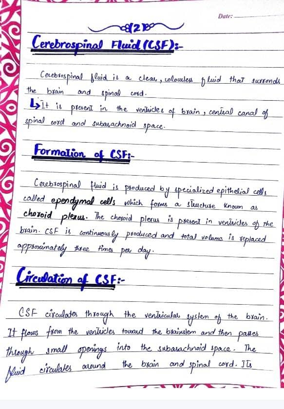 Assignment Writing 0
