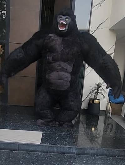 Gorilla Costume China Import