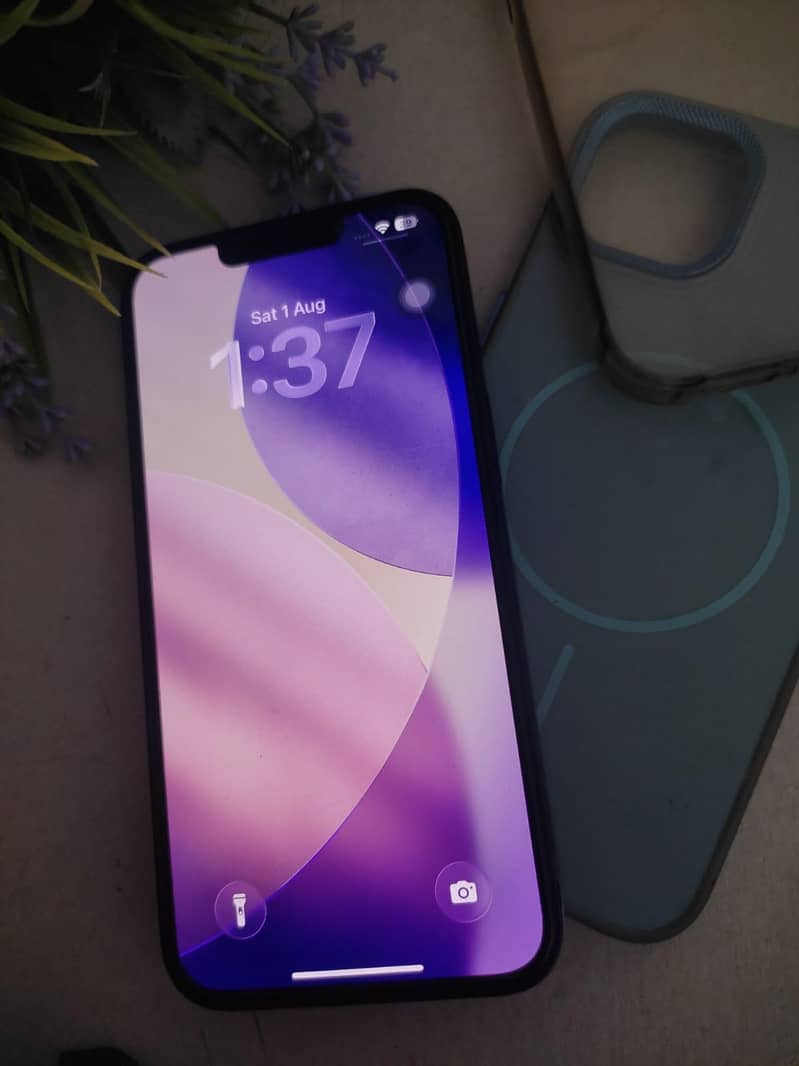 Apple iPhone 13 1