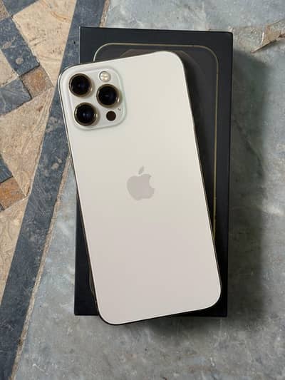 Apple iPhone 12 Pro Max