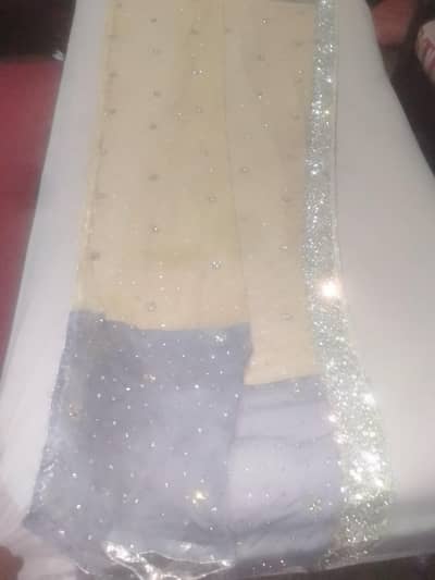 maxi shirt and dupatta