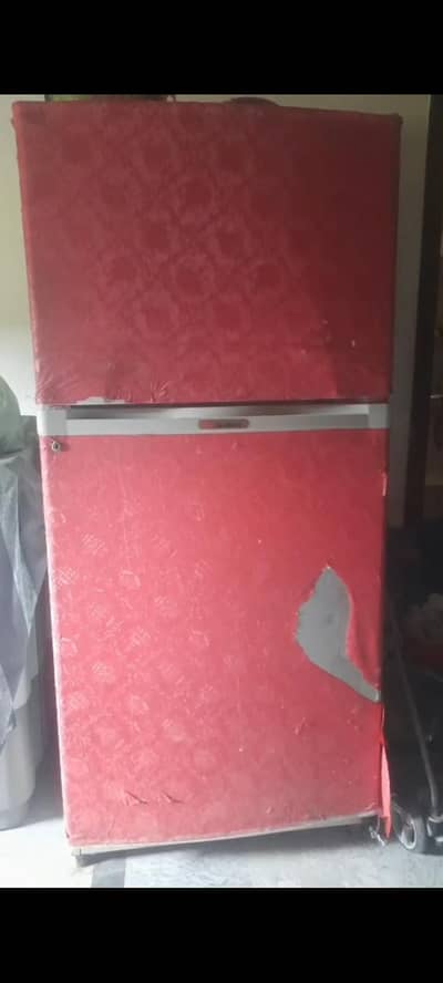 fridge medium size