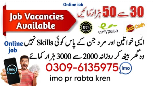 Typing job / Data Entry Job / Assignment Job / Online Job / Part Time
