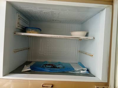 PEL fridge