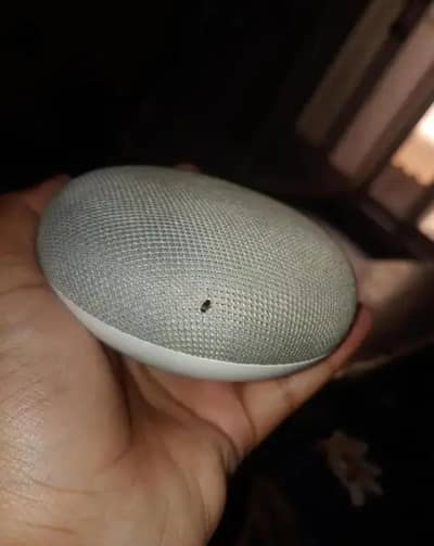 google nest mini for sale