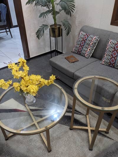 Center Table with side table