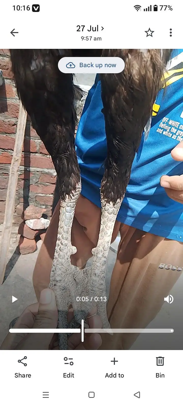 chick pako black eyes — photo 2