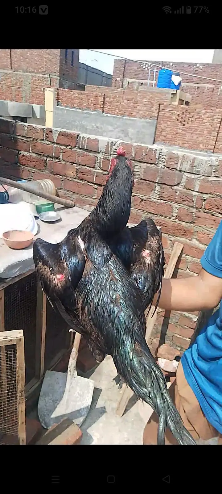 chick pako black eyes — photo 3