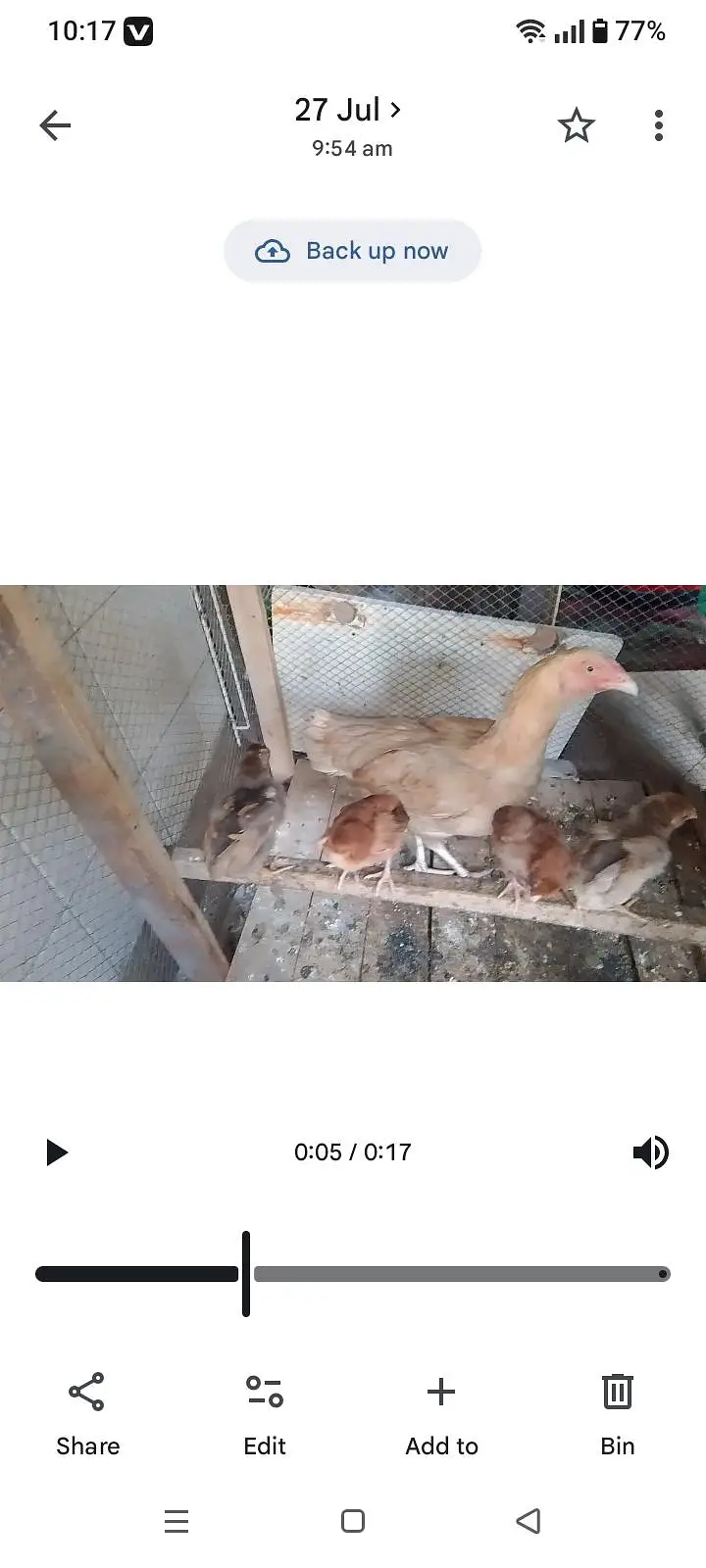 chick pako black eyes — photo 5