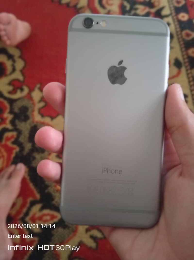 Apple iPhone 6. 0