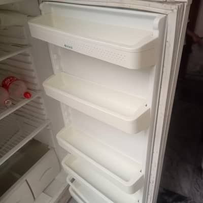 Indesit Italian brand Fridge