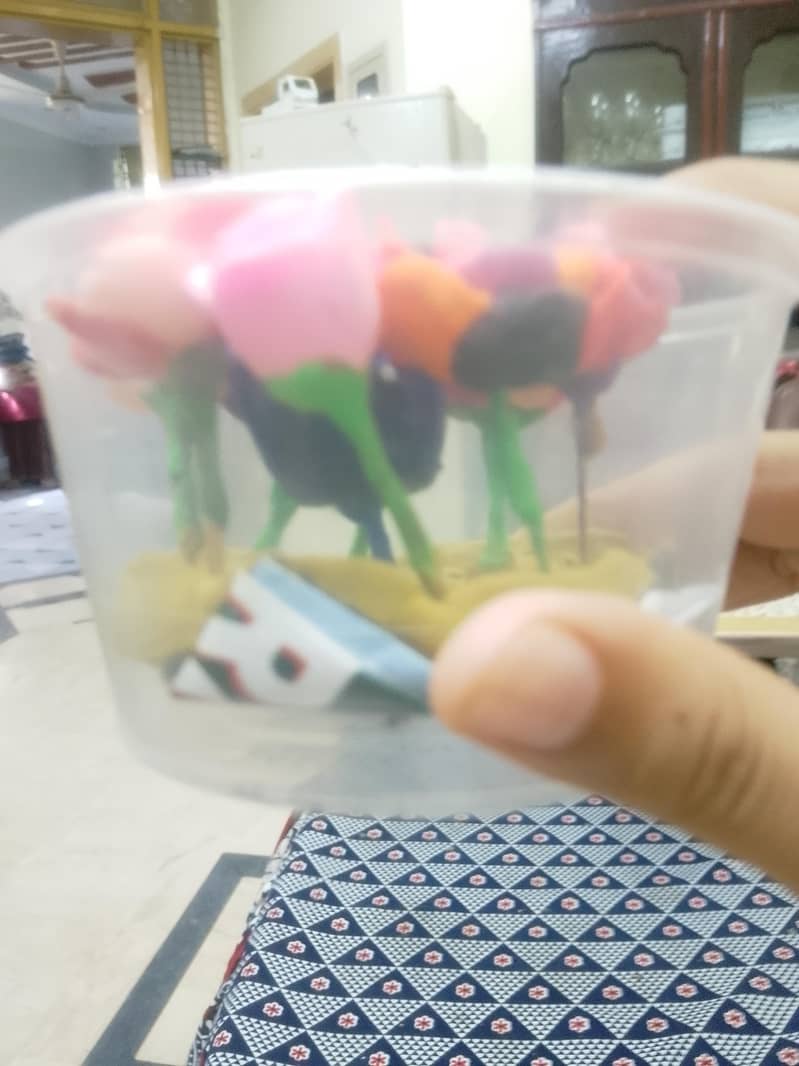 flowers 1