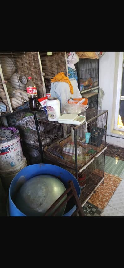 Birds cages