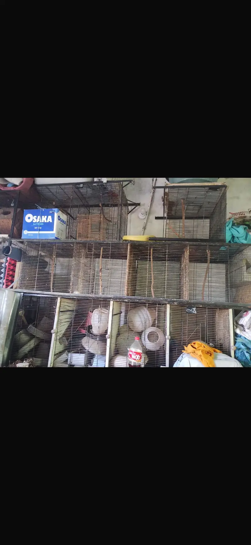 Birds cages — photo 2