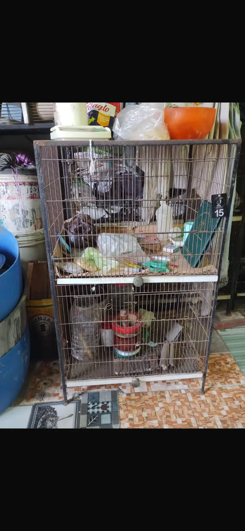 Birds cages — photo 5