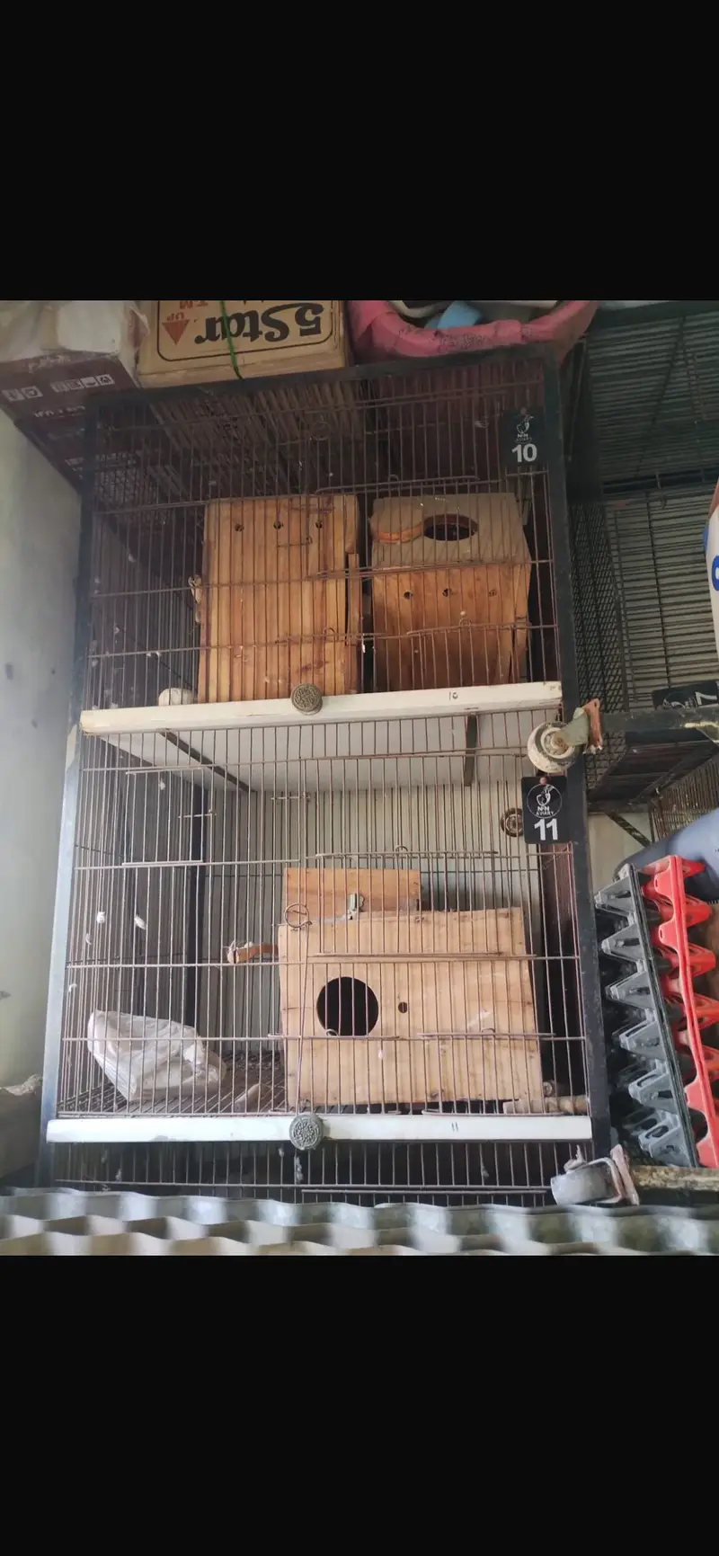 Birds cages — photo 6