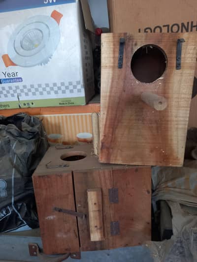 Cocktail parrot box