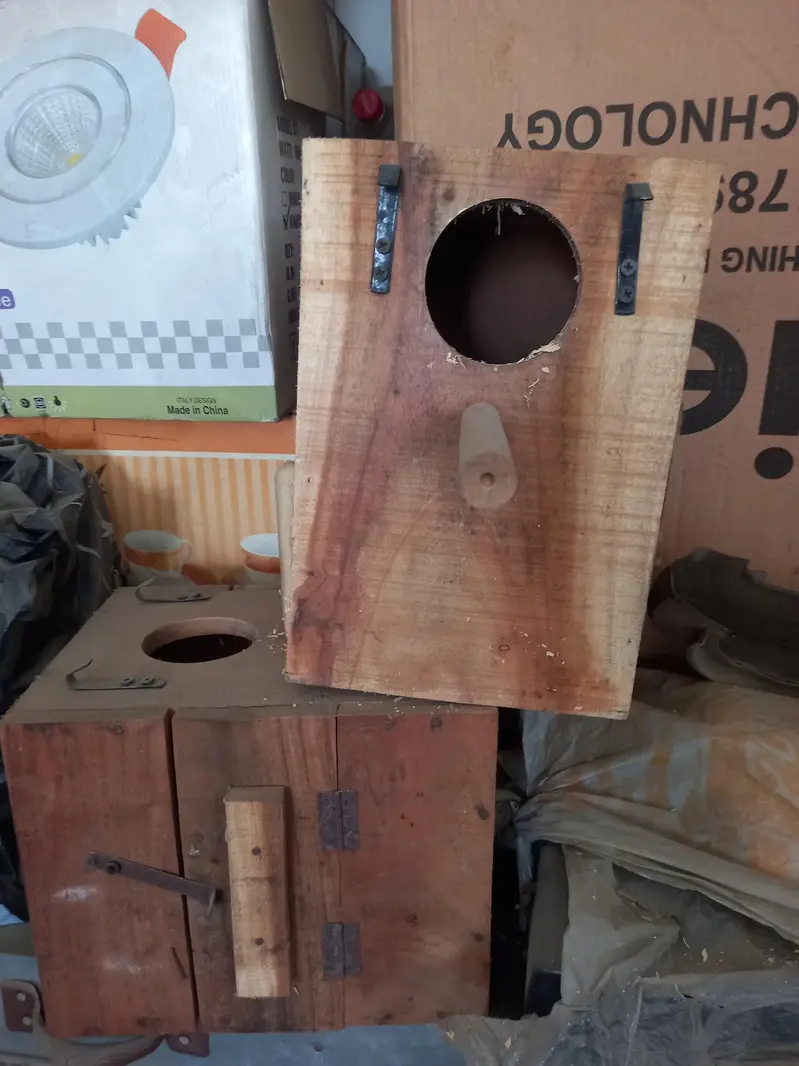 Cocktail parrot box — photo 2