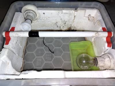 Homemade best incubator without fan and gariented incubator