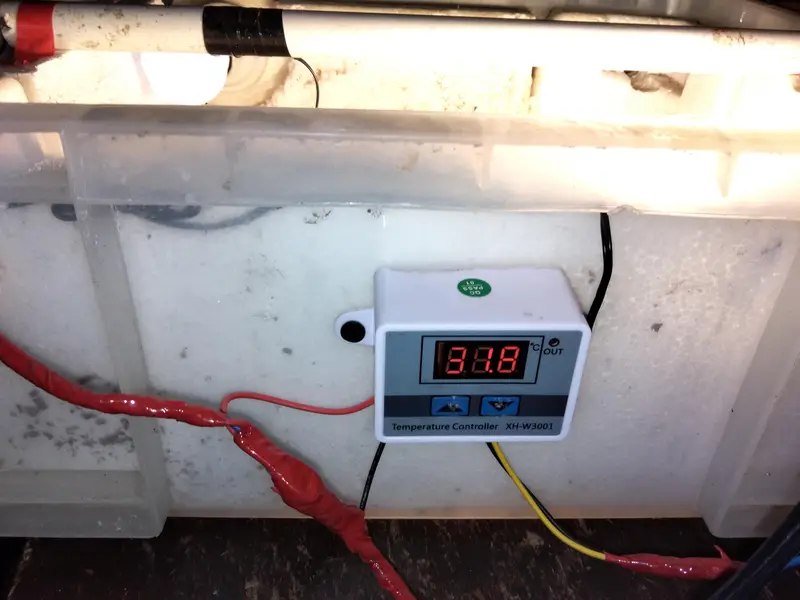 Homemade best incubator without fan and gariented incubator — photo 2