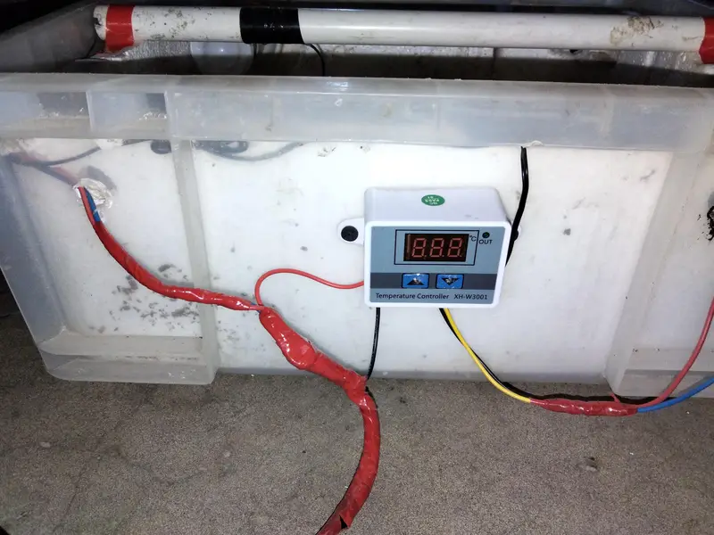 Homemade best incubator without fan and gariented incubator — photo 4