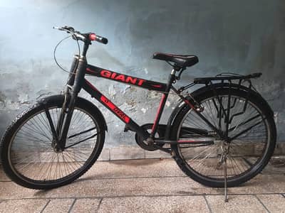 giant bicycle
