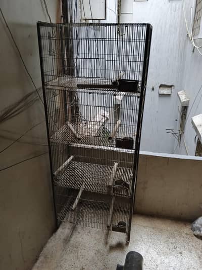 Pahari cage