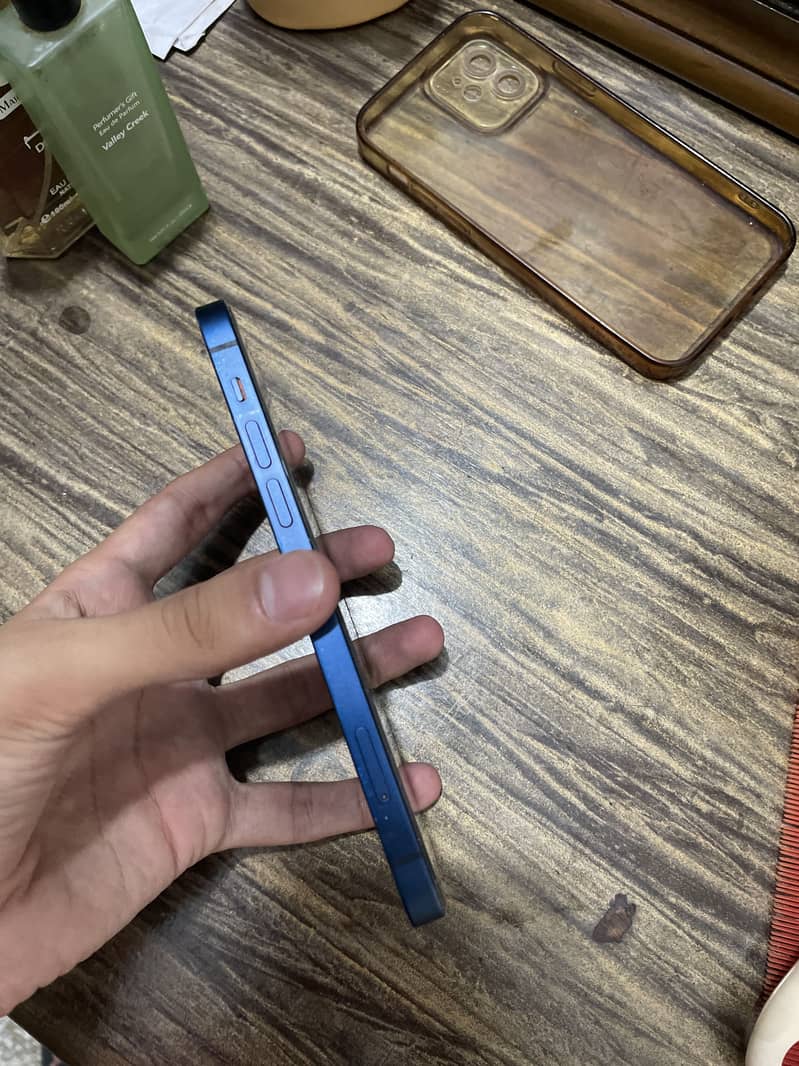 Apple iPhone 12 1