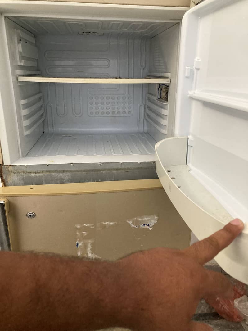 Freezer 3