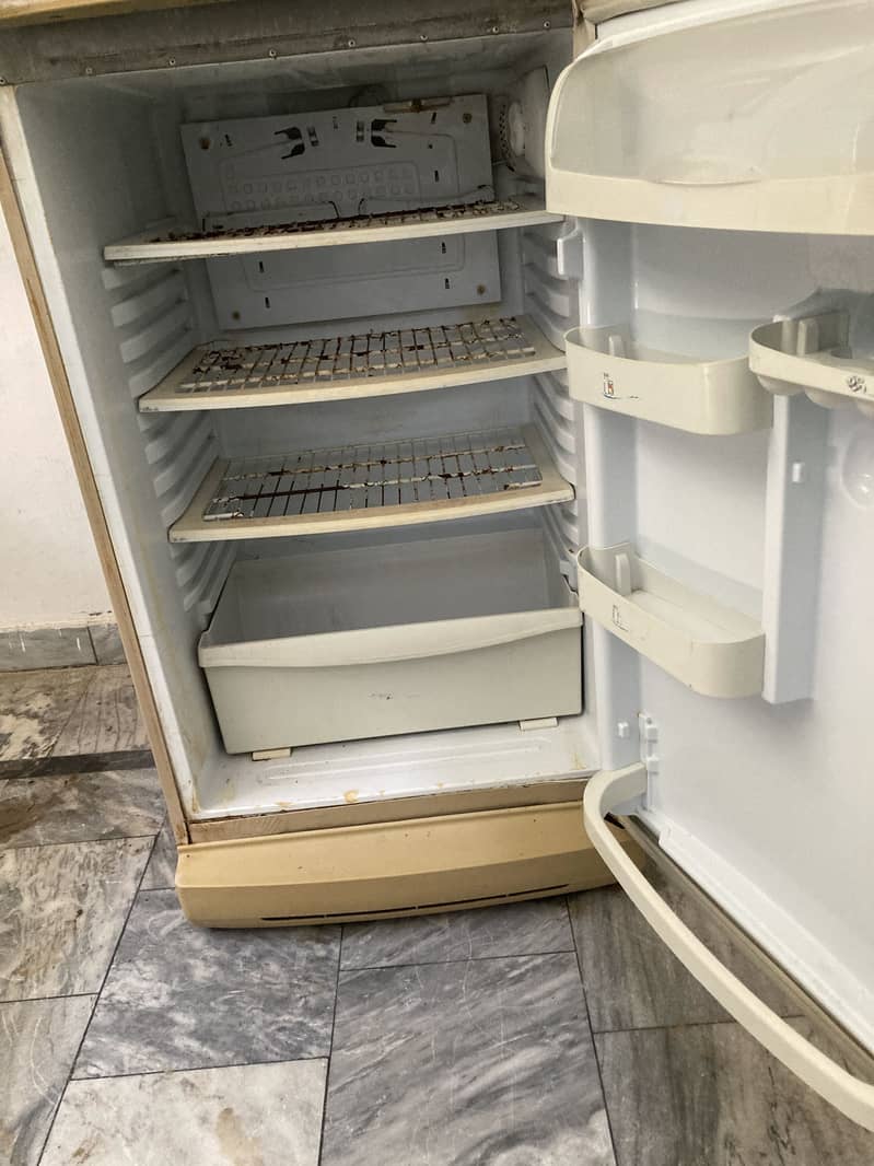 Freezer 4