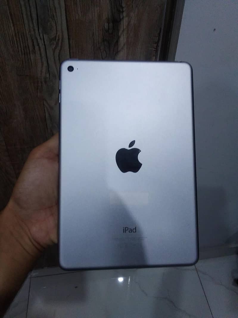 ipad mini 4 with matte protector + charging cable 0