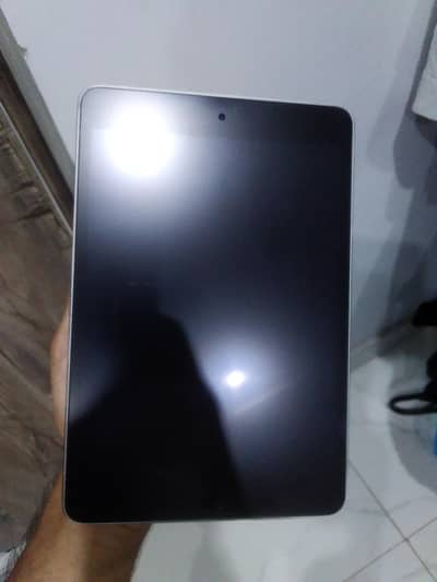ipad mini 4 128gb with matte protector + charging cable