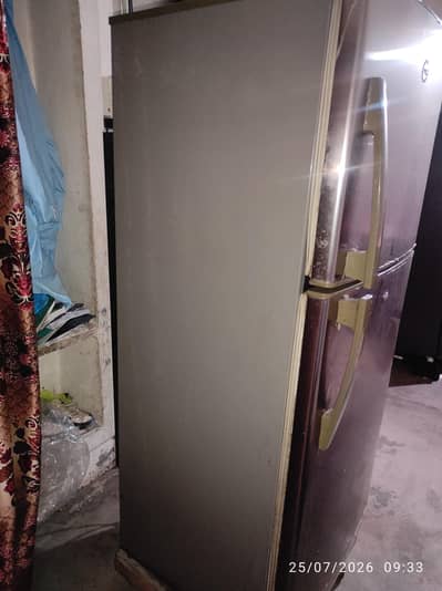 pell medium size fridge
